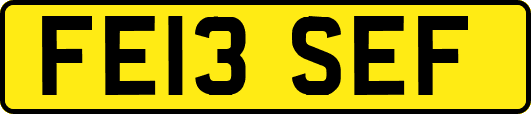FE13SEF
