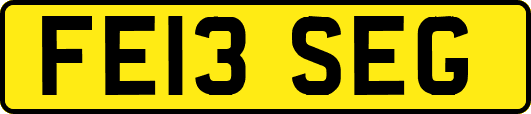 FE13SEG