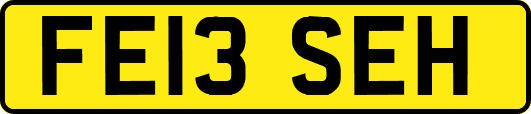 FE13SEH