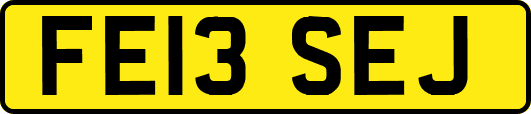 FE13SEJ