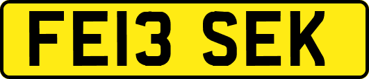 FE13SEK
