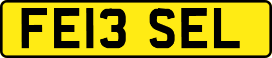 FE13SEL