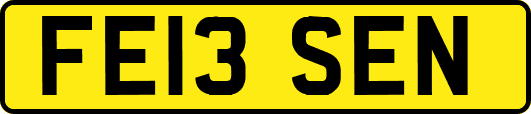 FE13SEN
