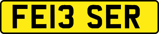 FE13SER