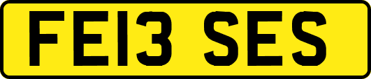 FE13SES