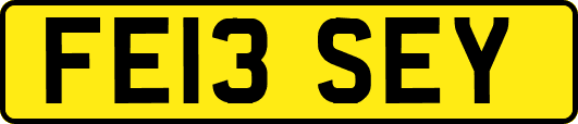 FE13SEY