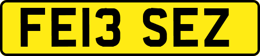 FE13SEZ