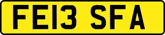 FE13SFA