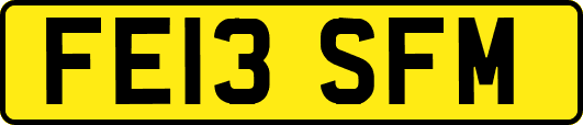 FE13SFM