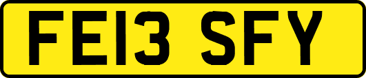 FE13SFY