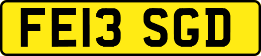 FE13SGD