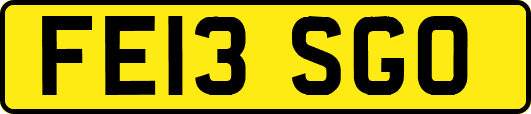 FE13SGO