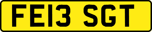 FE13SGT