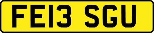 FE13SGU