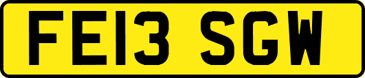 FE13SGW