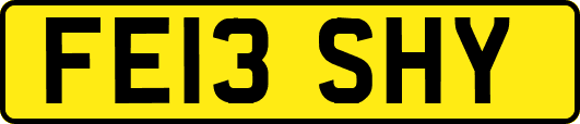 FE13SHY