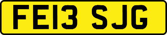 FE13SJG