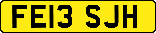 FE13SJH