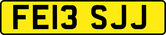 FE13SJJ