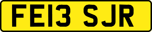 FE13SJR