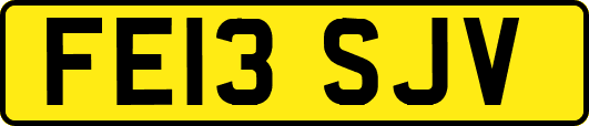 FE13SJV
