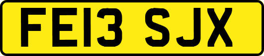 FE13SJX