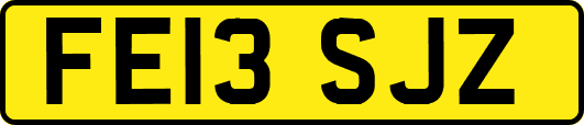 FE13SJZ