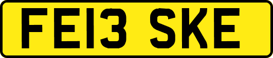 FE13SKE