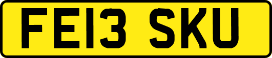 FE13SKU