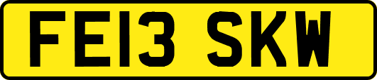 FE13SKW