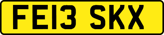 FE13SKX