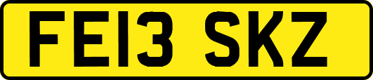 FE13SKZ