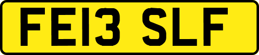 FE13SLF