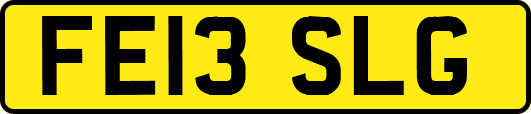 FE13SLG