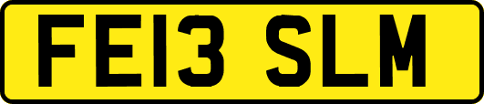 FE13SLM