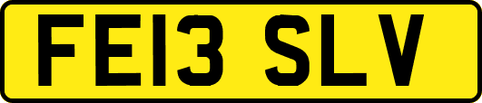 FE13SLV