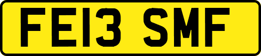FE13SMF