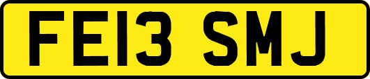 FE13SMJ