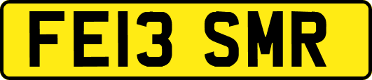 FE13SMR