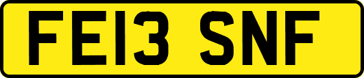 FE13SNF