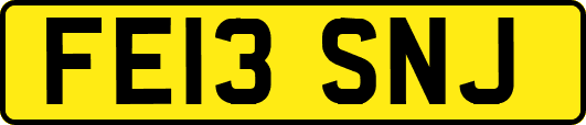 FE13SNJ