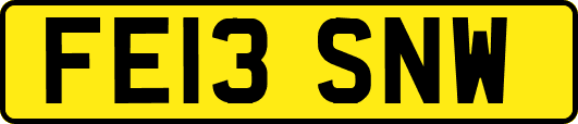 FE13SNW