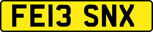 FE13SNX