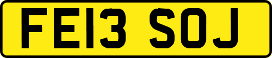 FE13SOJ