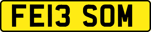FE13SOM