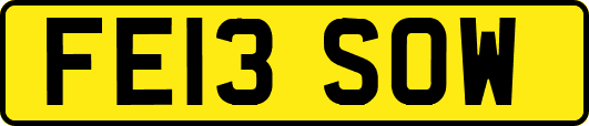 FE13SOW