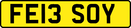 FE13SOY