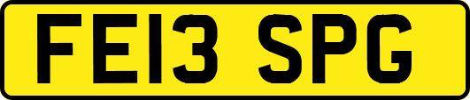 FE13SPG