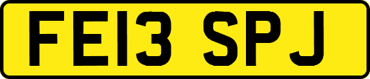FE13SPJ