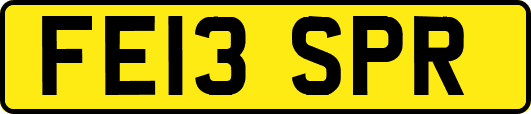 FE13SPR